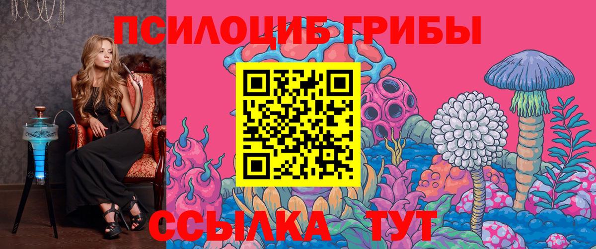 купить наркотики цена  Псилоцибиновые грибы Psilocybe  Вход с VPN  Псилоцибиновые грибы прущие грибы  Берёзовский 