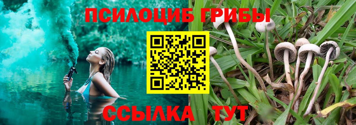 Гарик  Берёзовский  Вход с VPN  APVP  Бошки Шишки  ГАШ  MDMA  COCAIN  Меф  Мяу-Мяу 